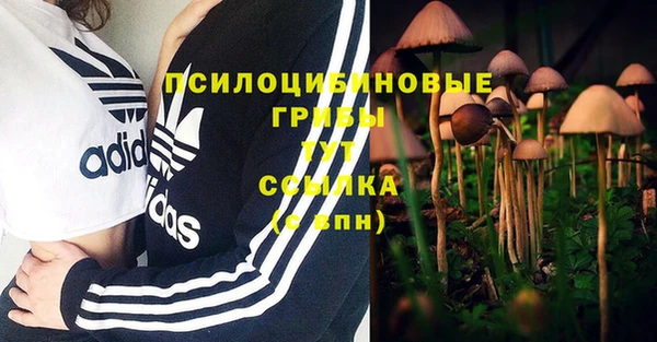 твердый Каменногорск
