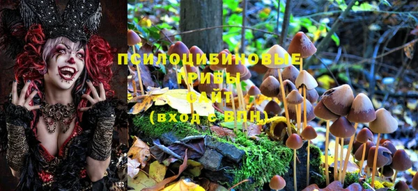 герыч Каменка
